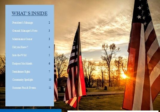Screenshot of Newsletter Cover-Summer 2025